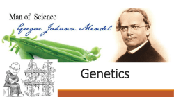 Genetics