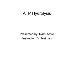 ATP Hydrolysis
