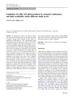 Limitation of coffee leaf photosynthesis by stomatal conductance