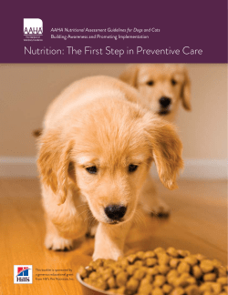 Nutrition: The First Step in Preventive Care