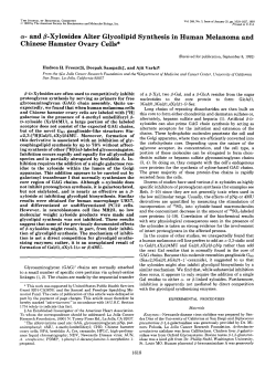 cy- and @-Xylosides Alter Glycolipid Synthesis in Human Melanoma
