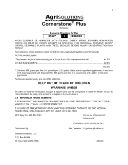 Cornerstone Plus