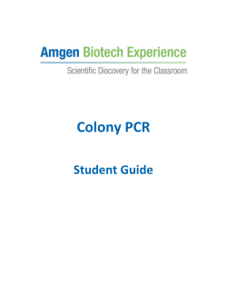 pcr glossary - Amgen Biotech Experience