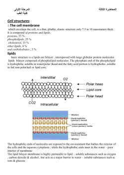 The cell membrane