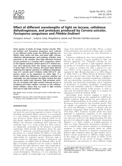 Eect of dierent wavelengths of light on laccase, cellobiose