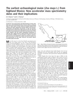 The earliest archaeological maize (Zea mays L
