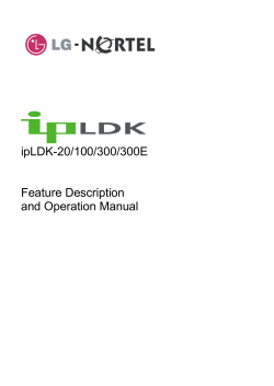 ipLDK-20/100/300/300E Feature Description and Operation Manual