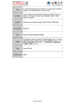 Title A Novel Fluorescent Sensor Protein for Visualization of Redox