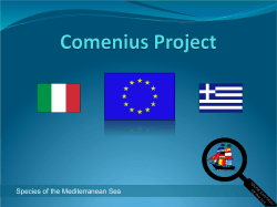 Comenius Project - Liceo Ginnasio Giovanni Verga Adrano