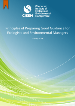 Principles of Producing Guidance