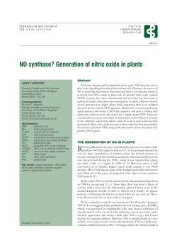 NO synthase? Generation of nitric oxide in plants