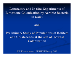 Laboratory and in situ experiments of limestone colonization by