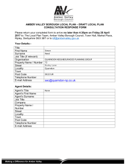 QNP &ndash; MS Word Response to AVBC Draft Local Plan 2016