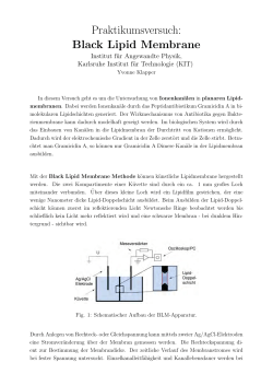 Praktikumsversuch: Black Lipid Membrane - Fakult&auml;t f&uuml;r Physik