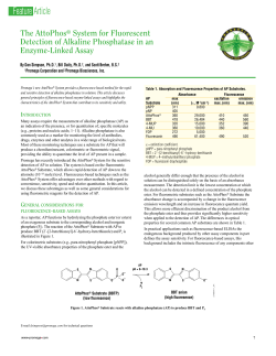 The AttoPhos&reg; System for Fluorescent Detection of Alkaline