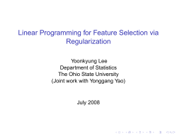Linear Programming for Feature Selection via