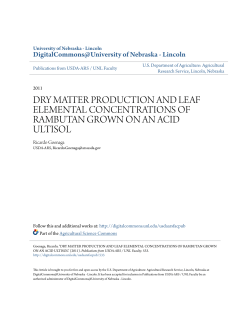 dry matter production and leaf elemental concentrations of rambutan