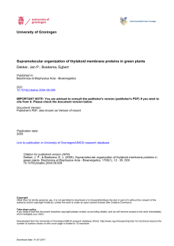 University of Groningen Supramolecular organization of thylakoid