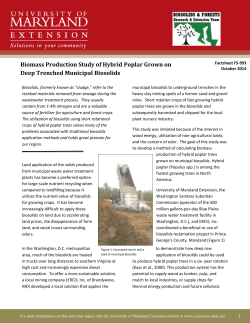 Biomass Production Study of Hybrid Poplar Grown on Deep
