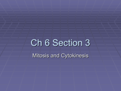 Ch 6 Section 3