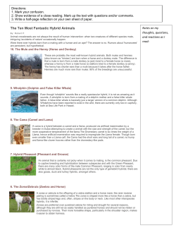 Notes on my thoughts, questions, and reactions as I read: Directions