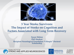 Stroke Conference 2015