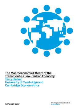The Macroeconomic Effects of the Transition to a Low