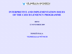 Interpretative and Implementation Issues of the Czech Leniency