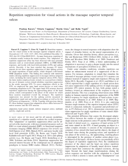 Repetition suppression for visual actions in the macaque superior