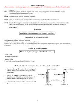 7. Respiration
