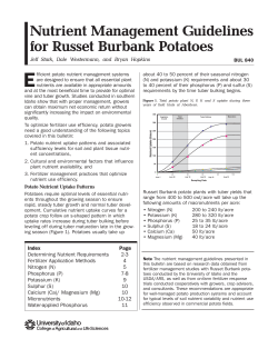 Nutrient Management Guidelines for Russet