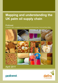 Mapping and understanding the UK palm oil supply chain
