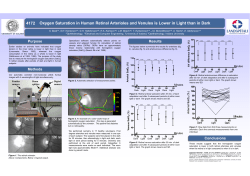 Oxygen Saturation in Human Retinal Arterioles and