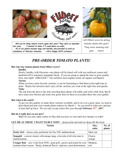 pre-order tomato plants!