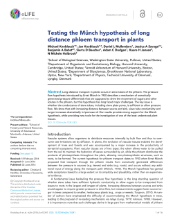 Testing the M&uuml;nch hypothesis of long distance phloem transport in