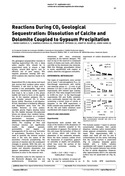 Reactions During CO2 Geological Sequestration: Dissolution of