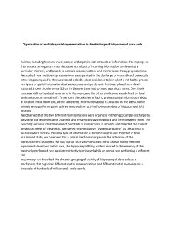 Organization of multiple spatial representations in the