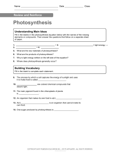 Photosynthesis