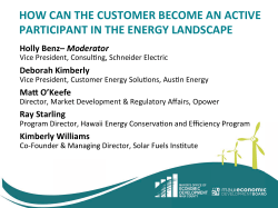 how can the customer become an active participant in the energy
