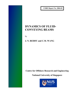 dynamics of fluid- conveying beams