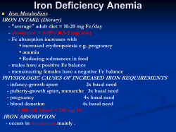IRON INTAKE