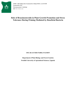 Role of Brassinosteroids in Plant Growth Promotion and