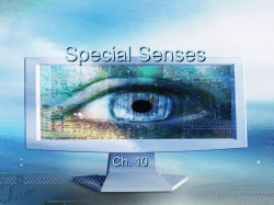 Special Senses