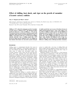 Effect of chilling, heat shock, and vigor on the growth of cucumber
