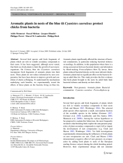 Aromatic plants in nests of the blue tit Cyanistes caeruleus protect