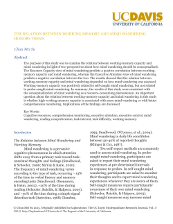 THE RELATION BETWEEN WORKING MEMORY