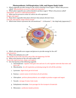 Photosynthesis, Cell Respiration, Cells, and Organs Study Guide KEY