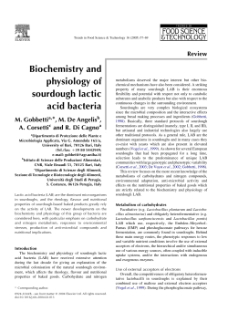Biochemistry and physiology of sourdough lactic acid bacteria