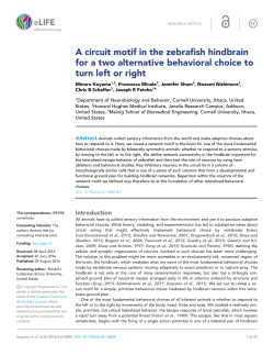A circuit motif in the zebrafish hindbrain for a two alternative