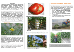 De-topping - Keshilla Bujqesore